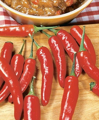 Chili Red Hot Pepper